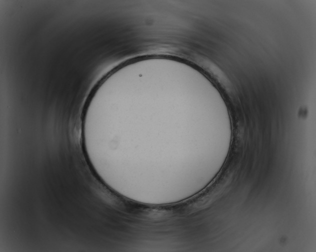 X0000102861324200809081257