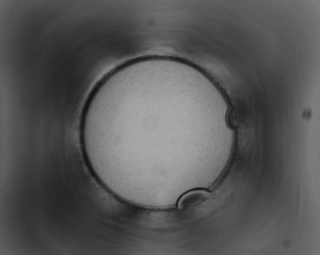 X0000102861326200809081257