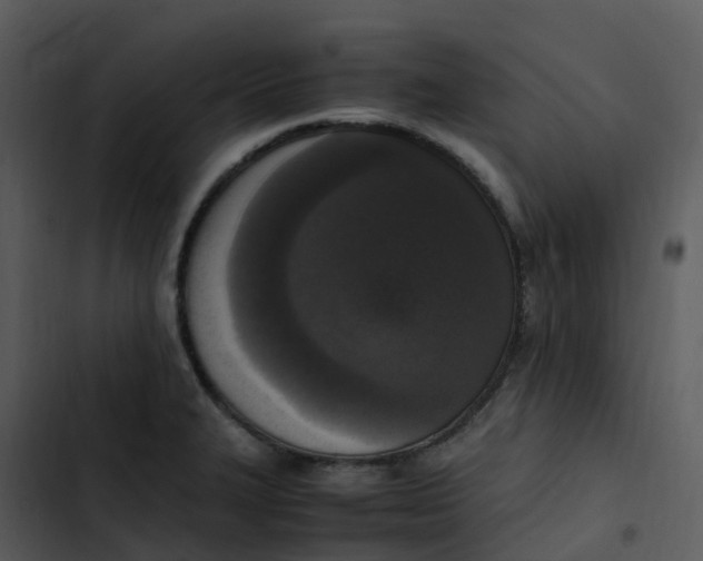 X0000102861327200809081257