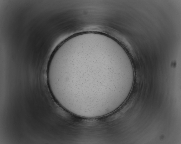 X0000102861328200809081257