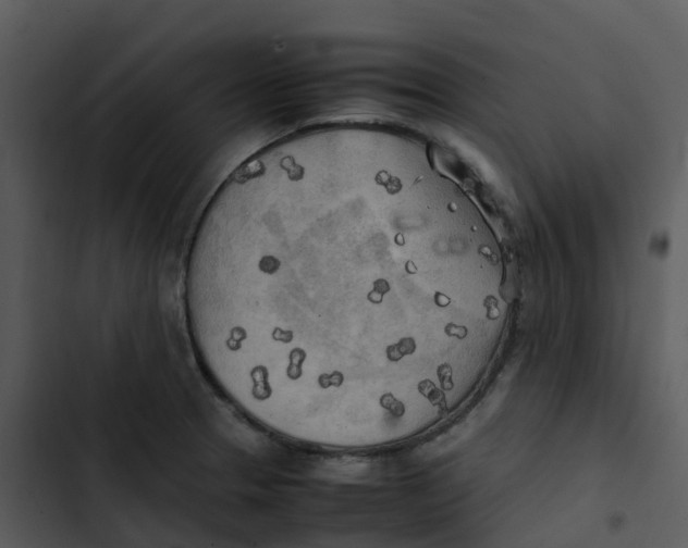 X0000102861329200809081257