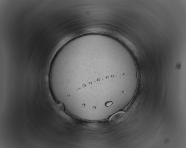 X0000102861330200809081257