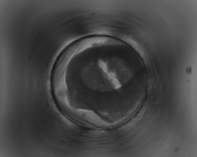 X0000102861331200809081257