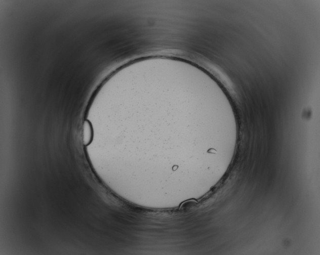 X0000102861332200809081257