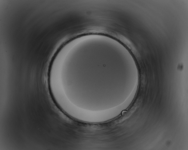 X0000102861334200809081257