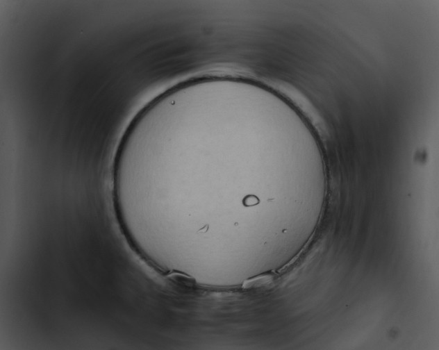 X0000102861335200809081257