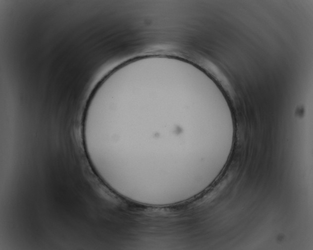 X0000102861336200809081257