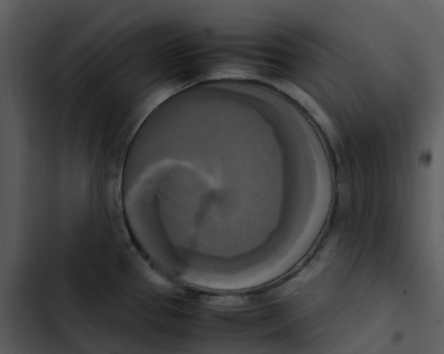 X0000102861337200809081257