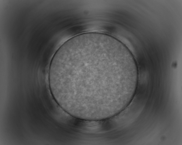 X0000102861338200809081257