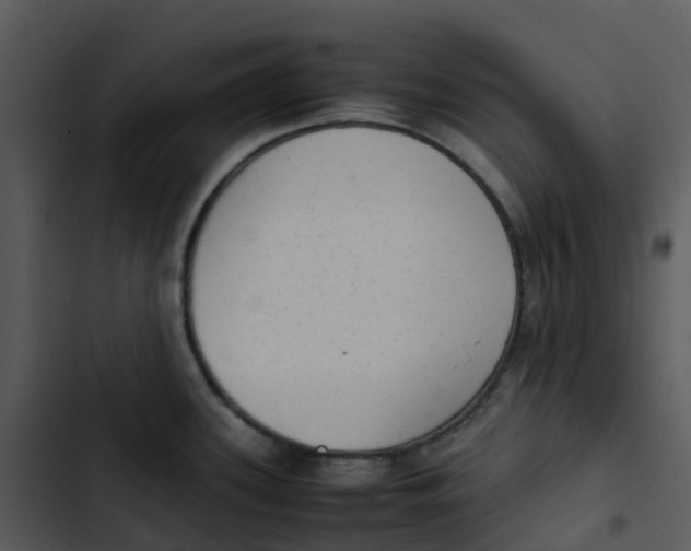 X0000102861339200809081257