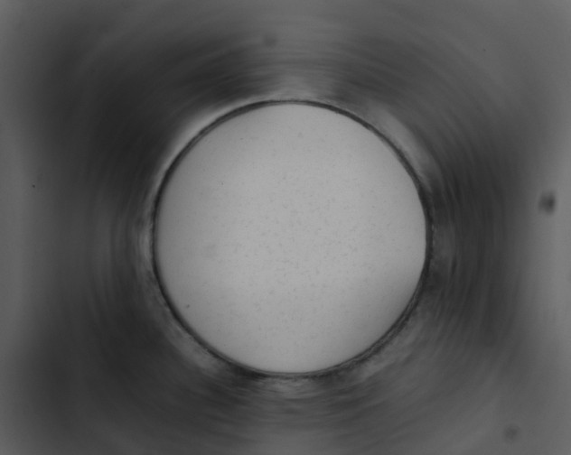 X0000102861340200809081257