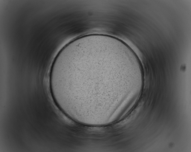 X0000102861341200809081257