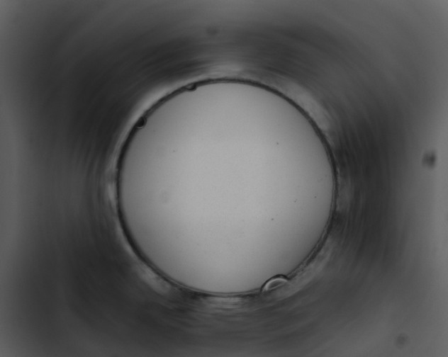 X0000102861342200809081257