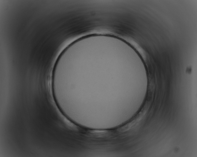 X0000102861343200809081257