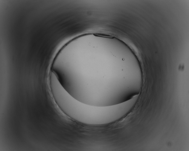 X0000102861344200809081257