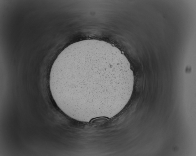 X0000102861345200809081257