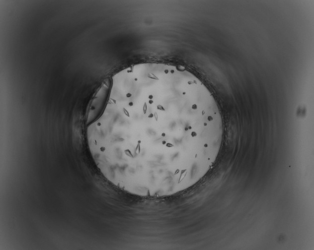 X0000102861346200809081257