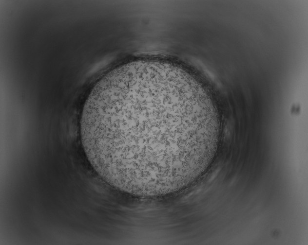 X0000102861350200809081257