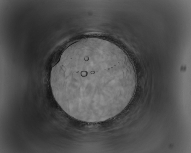 X0000102861351200809081257