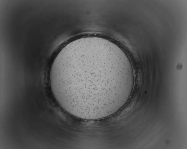 X0000102861352200809081257