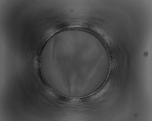 X0000102861353200809081257