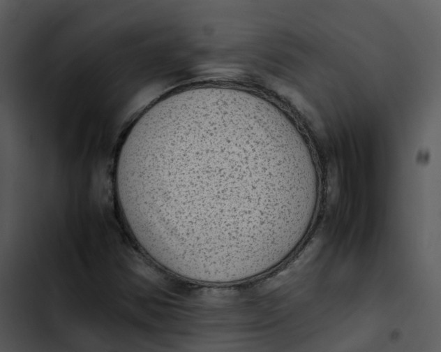 X0000102861354200809081257