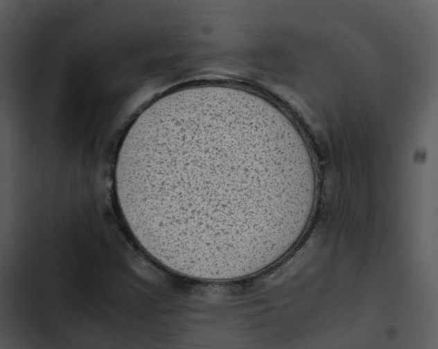 X0000102861355200809081257