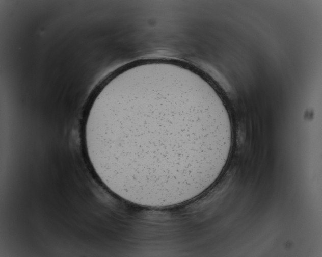 X0000102861356200809081257