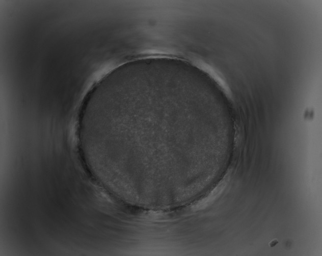 X0000102861357200809081257