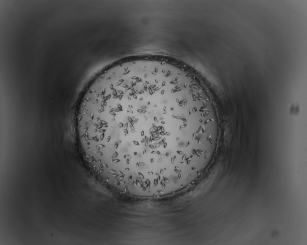 X0000102861358200809081257