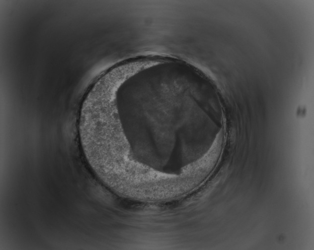 X0000102861359200809081257