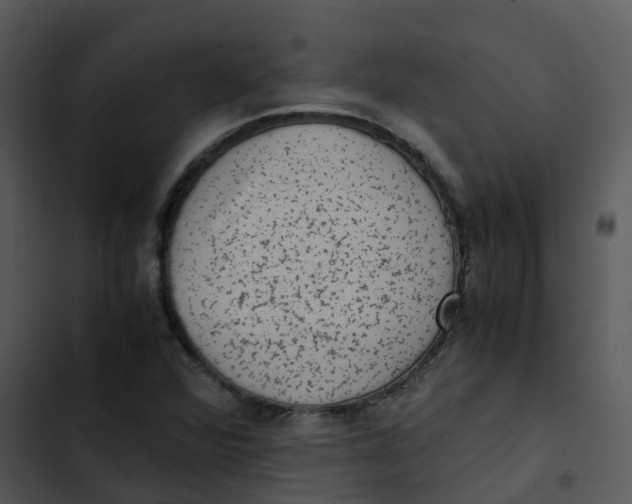 X0000102861360200809081257