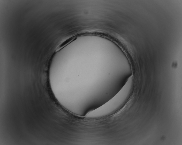 X0000102861361200809081257