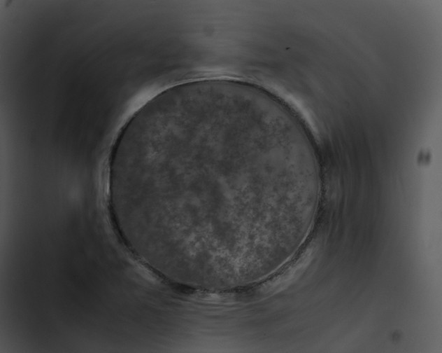 X0000102861365200809081257