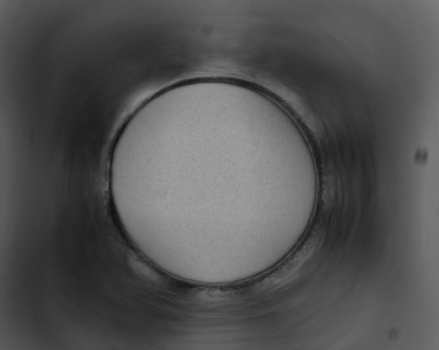 X0000102861366200809081257