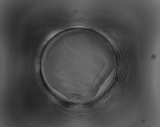 X0000102861367200809081257