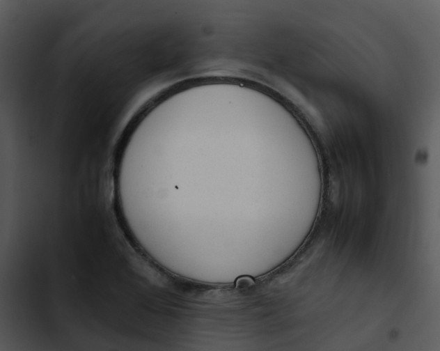 X0000102861368200809081257