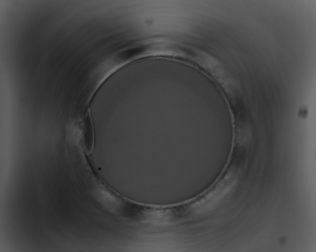 X0000102861369200809081256