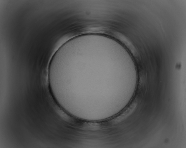 X0000102861370200809081256