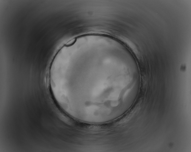 X0000102861371200809081256