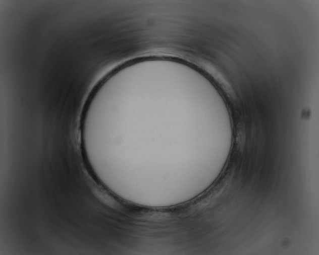 X0000102861372200809081256