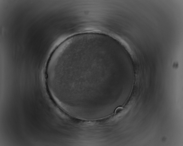 X0000102861373200809081256