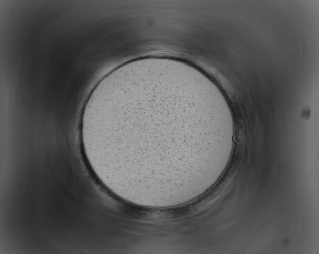 X0000102861375200809081256