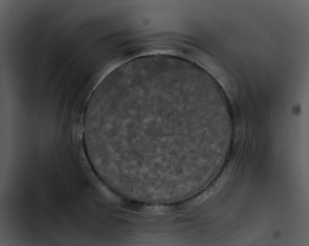 X0000102861377200809081256