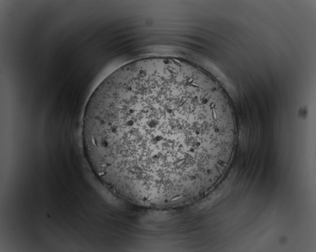 X0000102861378200809081256