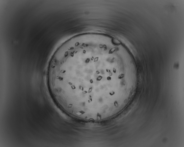 X0000102861379200809081256