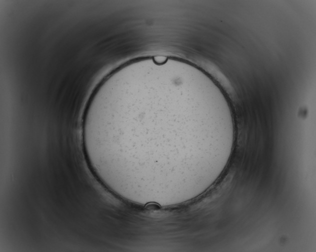 X0000102861380200809081256