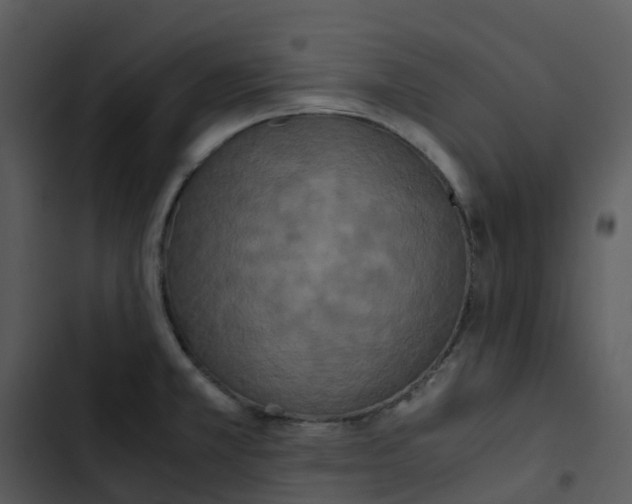 X0000102861381200809081256