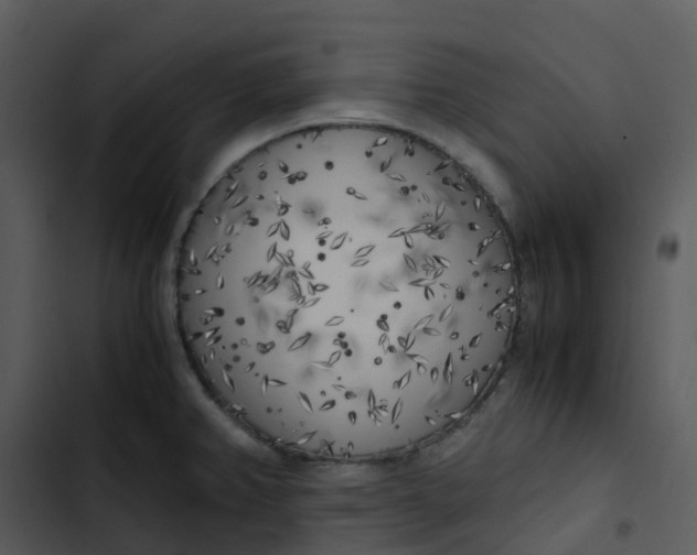 X0000102861382200809081256