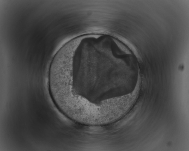 X0000102861383200809081256